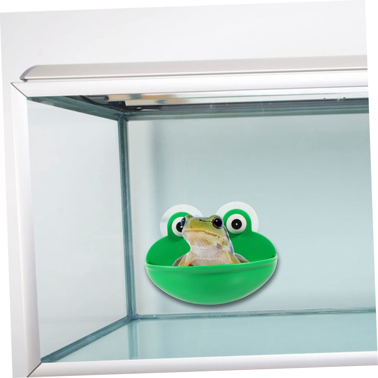 Angoily 6pezzi Terrario Per Rettile Con Design Motivo Di Accessori Per Riposo Di Lucertole Gechi e Altri Animali Acquatici Stabile e Facile Da Installare