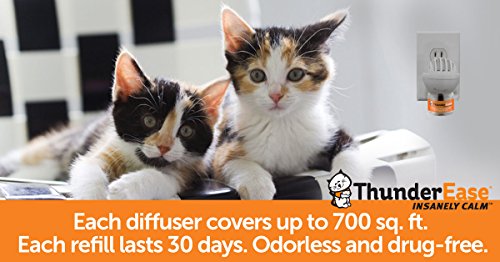 Thunderease Multicat Calming Pheromone Diffuser Refill | Powered By Feliway | Reduce Cat Conflict, Tension And Fighting (30 Day Supply) #TOP7