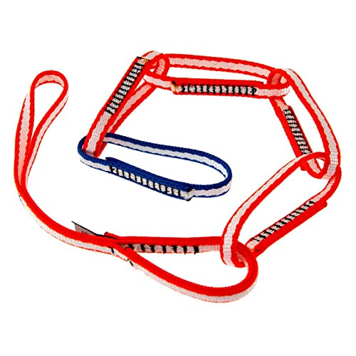 Metolius Alpine PAS Sling Orange/Blue One Size