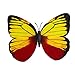 Ruilogod Lodówka Udekoruj Butterfly Projektowanie Magnetic Sticker Żółty Czerwony Czarny