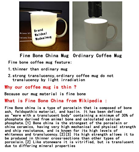 Waldeal 1 Piece, I Can't Fix Stupid But I Can X Ray It. Funny Coffee Mug, 11-Oz Fine Bone Ceramic White #TOP1
