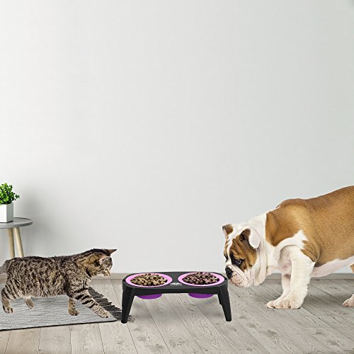 Petmaker Elevated Pet Bowls Collection With Non Slip Stand For Dogs And Cats-Removeable And Collapsible Silicone Feeder For Food And Water- 16 Oz Each (Pink) #TOP3