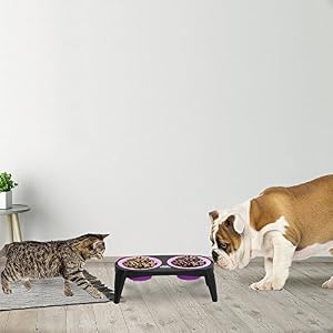 Elevated Cat and Dog Food Bowls with Non-Slip Stand - Removable and Collapsible Silicone Feeder for Food and Water - 16-Ounces Each by PETMAKER (Pink) Elevated Cat and Dog Food Bowls with Non-Slip Stand – Removable and Collapsible Silicone Feeder for Food and Water – 16-Ounces Each by PETMAKER (Pink)