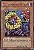 yugioh pflanzen karten Sprache: Deutsch / Zustand: Near Mint (Wir überprüfen jede Karte vor dem Versand)
