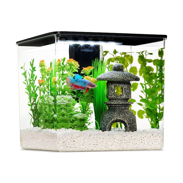 Imagitarium Betta Cube Kit 2.5 Gal