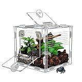 Jumping Spider Enclosure, Small Reptile Terrarium for Tarantula Hermit Crab Praying Mantis, Acrylic Insect Habitat with Magnetic Front & Top Opening (4.52' x 4.52' x 4.52')