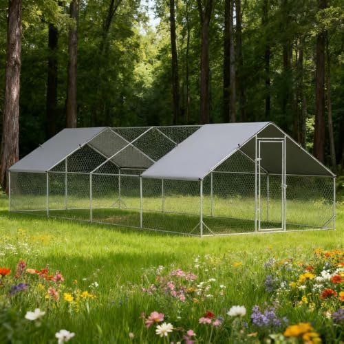 GOWE 9.8' x 26.2' x 6.6' Chicken Coop Metal Chicken Run