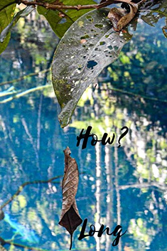 how?long: lined journal 100 pages 6x9, notebook, work book, memo