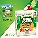 Black Forest USDA Organic Gummy Bears - 65 Pouches - .0.8Oz Each