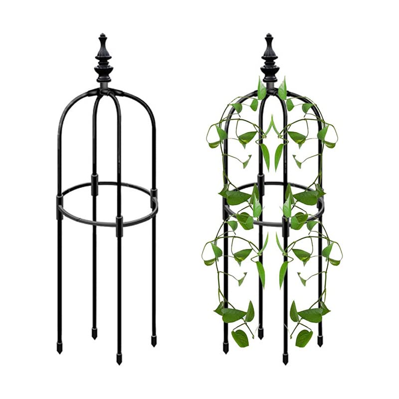 Amazon | karonpeln ミニオベリスク トレリス 簡単組立式 金属製 鳥