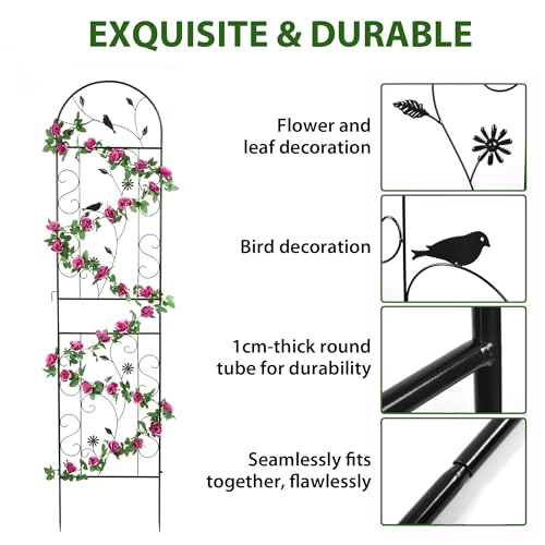 Treillis de jardin en fer noir arqué avec structure renforcée anti-intempéries
