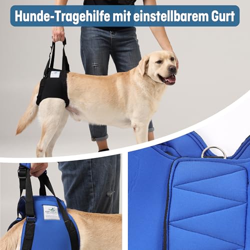Nature Pet © - Tragehilfe Hund hinten - Verstellbarer Hunde Tragegurt als Treppenhilfe - Ideal für ältere, kranke oder operierte Vierbeiner - Praktische Unterstützung für Mobilität (M, Blau)