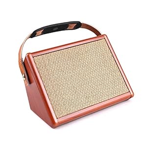summina Acoustic Guitar Amplifier 15W Amp AC-15 BT Speaker with Microphone Input Supports Volume Bass Treble Control…
