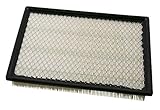 Champion CAP8817 Engine Air Filter