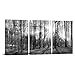 LevvArts - 3 Panel Canvas Wall Art Black and White Forest Picture Art Prints Winter Sunrise Nature Landscape Painting Contemporary Artwork for Bedroom Living Room Office Wall Decor Framed Easy Hanging