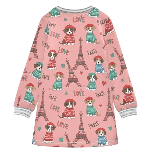 Girls' Long Sleeve Casual Dress Thick,Stretch A-Line Sweatshirt Dresses Loose Fit for Toddlers Kids 2-8 Years2