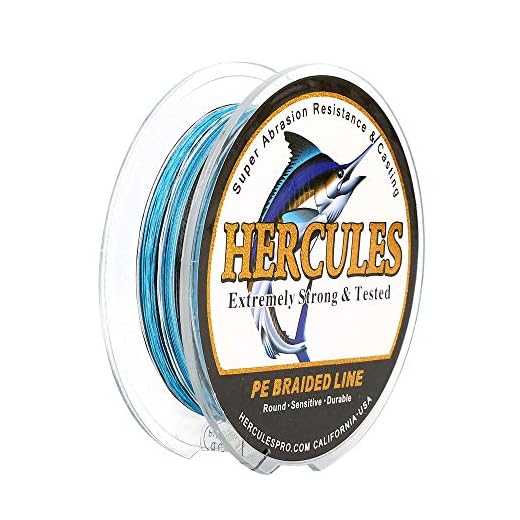 HERCULES Super Strong 300M 328 Yards Braided Fishing Line 15 LB Test for Saltwater Freshwater PE Braid Fish Lines 4 Strands - Blue Camo, 15LB (6.8KG), 0.16MM