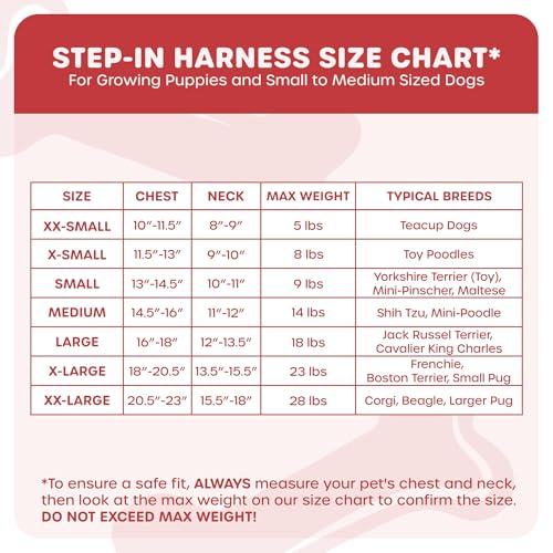 Downtown Pet Supply Step in Dog Harness for Small Dogs No Pull, Medium, Pink - Adjustable Harness with Padded Mesh Fabric and Reflective Trim - Buckle Strap Harness for Dogs