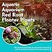 CANTON AQUATICS Live Aquarium Red Root Floater Plants - Highly Sought & Removes Nitrates - Easy to Maintain - Promote High Water Quality - 10 Leaf Red Root Floaters Plants