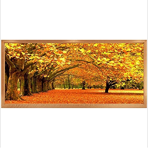 Kit Peinture Diamant Complet Toile Grand Format 70x160 Anti Stress