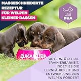 Eukanuba Welpenfutter mit frischem Huhn für kleine Rassen, Premium Trockenfutter für Junior Hunde, 3 kg