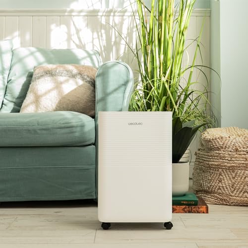 Deshumidificador Cecotec BigDry 8000 de 16 L contra moho y paredes húmedas 4