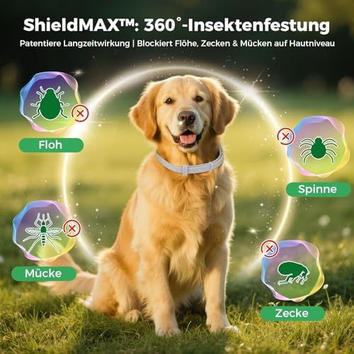 Zeckenhalsband für Hunde 69cm, Wasserdicht & Verstellbar Zeckenschutz Hund Verhindert Leishmaniose-Übertragung, 8 Monate Schutz Grau
