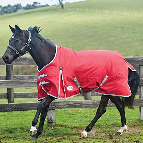 Couverture cheval de soin et d'isolation haute performance - 3