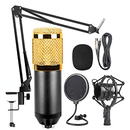 Micrófono LLD G11 USB para KTV y ordenador de escritorio con captación de alta fidelidad