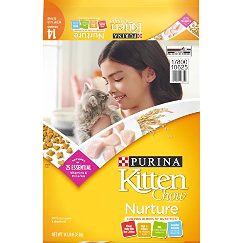 Best Kitten Chow