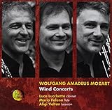 voltan schuhe damen  Wind Concerts