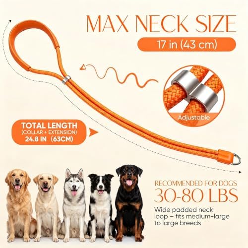 DHTails Adjustable Padded Dog Extension Slip Collar,Double Strand Rope Collar Accessory Compatible with Dog Leash,Quick Release Design for Off-Leash Play,for Medium Large Dogs - 4