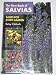 The New Book of Salvias: Sages for Every Garden