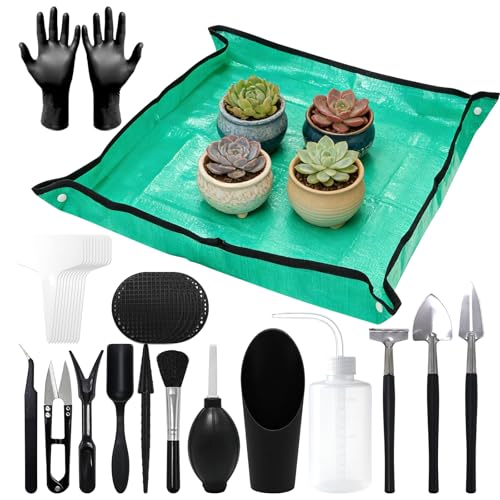 Set 30 Piezas de Herramientas para Jardinería de Suculentas miniatura 1