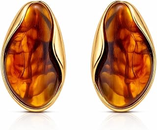 Lylak 18K Gold Plated Amber Resin Geometric Stud Earrings for Women | IG Style Minimalist | Waterproof Non-Tarnish Stainle... Price In India