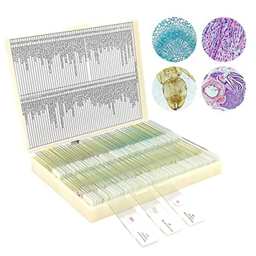 Lames de microscope microbiologie pour réussir ses expériences de SVT, boîte de 100 pièces