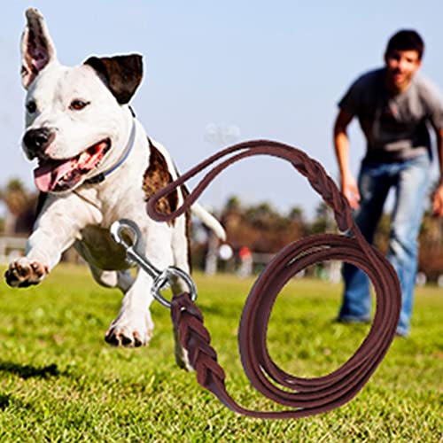 1.6m Fettlederleine Hund, Dunkelbraun Rindsleder Hundeleine Leder, Geflochtene Lederleine Hund für Große Mittelgroße Hunde, Outdoor Gehen Training