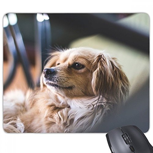 ̌ǓƂȌ̎ʐ^ mXbvSpbh̃Q[}EXpbhv[g