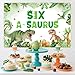 Jollyboom Dinosaur 6th Birthday Decorations, Six a Saurus Birthday Decorations Backdrop Banner for Dinosaur Jungle 6 Year Old Boy Girl Party Background Supplies 3 x 5 ft