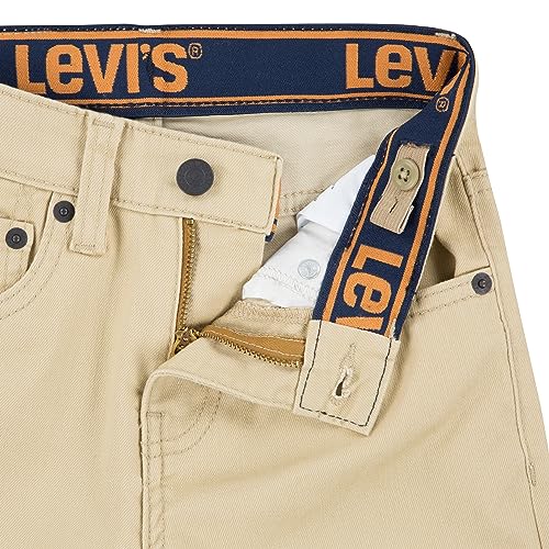 Levi's Calça jeans masculina 510 skinny fit, cáqui pálido, 18 anos, Cáqui pálido, 18 Anos