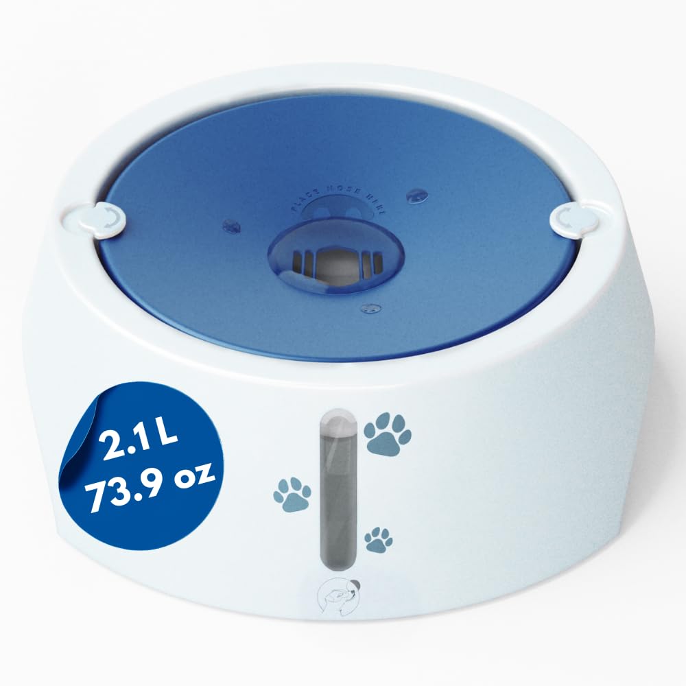 BARKING& MAD Gamelle d'eau anti-déversement pour chien de 2,1 L – Distributeur d'eau à alimentation lente anti-éclaboussures, bols blancs antidérapants et anti-basculement pour grands chiens avec de