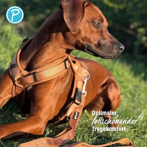 Petlando Hundegeschirr Mesh Y-Comfort mit atmungsaktivem Mesh, leicht & robust, stufenlos verstellbar, Farbe Cognac, Größe M (Halsumfang 46-74 cm, Brustumfang 50-74 cm), Brustgeschirr Hund mittel
