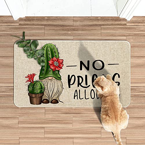Roszwtit Spring Summer Door Mat 30 X 17 Inch No Picks Allowed Cactus Gnome Doormat Indoor Outdoor Entrance Funny Floor Mat Non Slip Summer Decor Rubber Welcome Mats #TOP5
