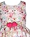 Bonnie Jean Girls 3M-6X Burnout Stripe Organza Flower Waist Dress (Pink-Multi, 3T)