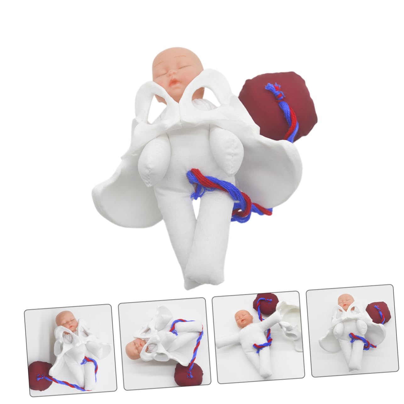 Generisch 1 Set Entbindungsbeckenmodell Beckenmodell Praxismodell Medizinstudenten Becken Lehrgeburtsmodell Hebammen Trainingsmodell Geburtsmodell Pvc