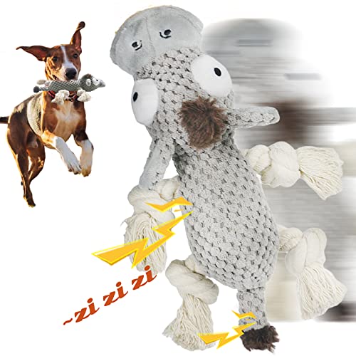  ݂ ނ ybgg[jOƃG^[eCg ^A^AɍœK ϋv ̎ (hL[)