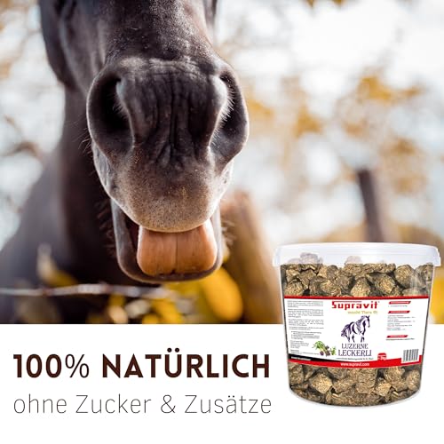 Supravit Luzerne Pferde Leckerlies 2kg – getreidefreie & zuckerfreie Pferdeleckerlis aus 100% Luzerne | natürliche Belohnungswürfel für Pferde & Ponys im wiederverschließbaren Eimer