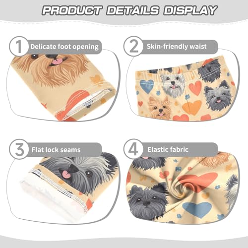 Cairn Terrier Girls Leggings,Workout Leggings for Girls Toddler Athletic Leggings Size for 3-10T3