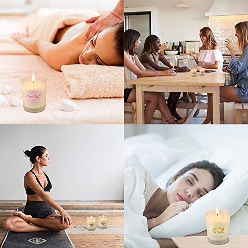 Scented Candles Gift Set, Soy Wax 2.5 oz Per Cup Portable Glass Candles Women Gift for Aromatherapy 8 Pack