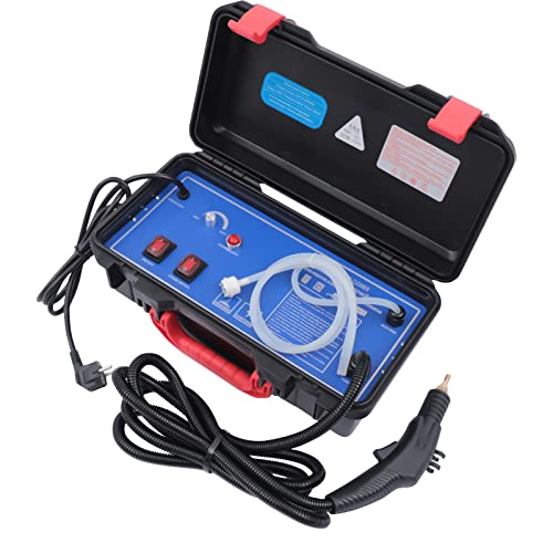 TAPMING Limpiador de vapor de mano de alta temperatura, 3000 W, 220 V, sin productos químicos, con cabezales de cepillo para muebles de cocina, baño, coche